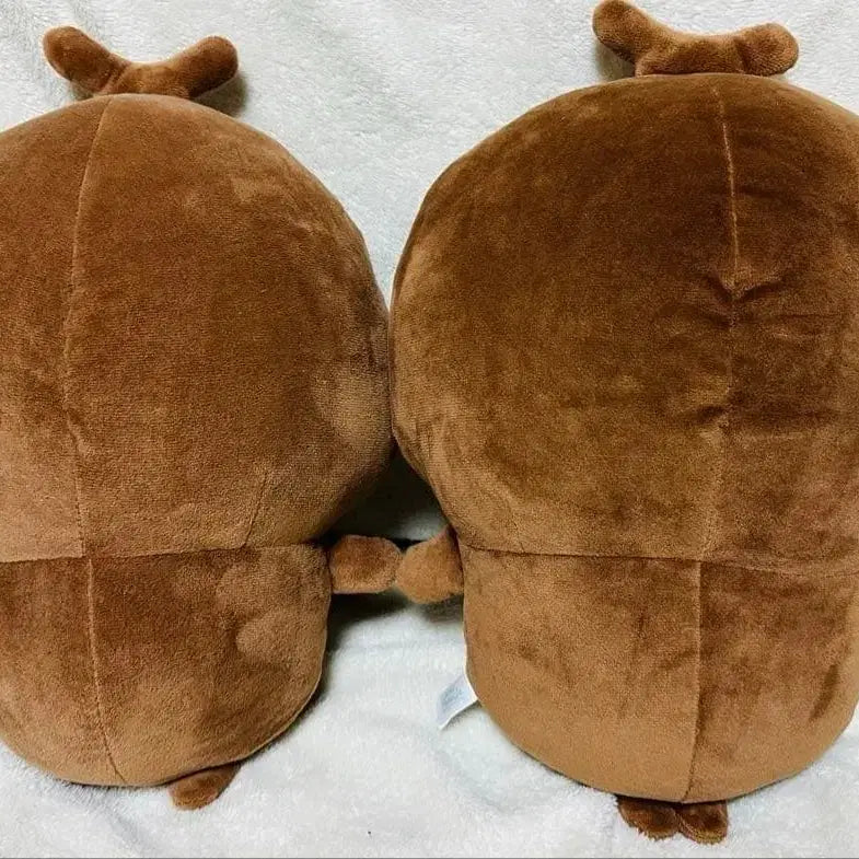 [BUNJANG] Cheekawaii Beetle Big Plush Doll / (택X) 치이카와 풍뎅이 Big 누이구루미 인형