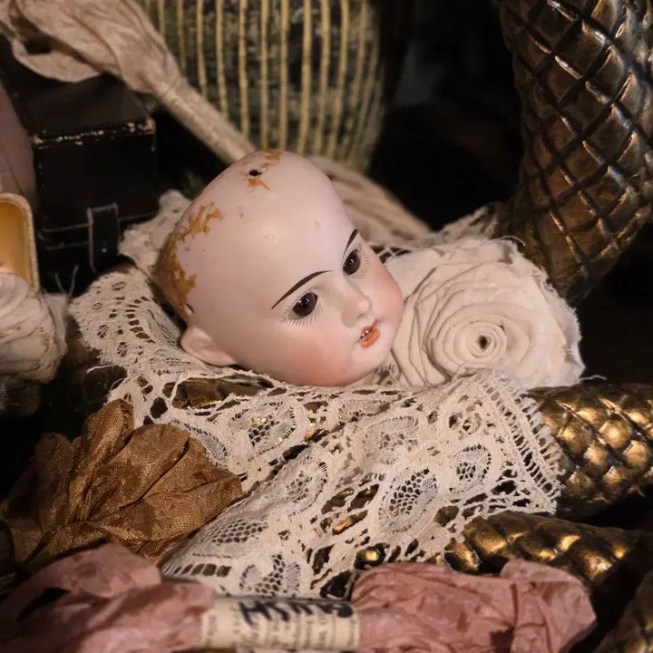 [BUNJANG] Antique Bisque Doll Head (200 Years Old) / 초희귀 앤틱 비스크돌