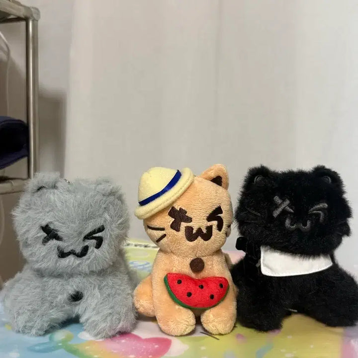 [BUNJANG] TWS Twonny Plush Bundle (Dust, Tanning, Romeo Cat) / 투어스 투냥이 일괄 먼지투냥이 태닝투냥이 로미오캣