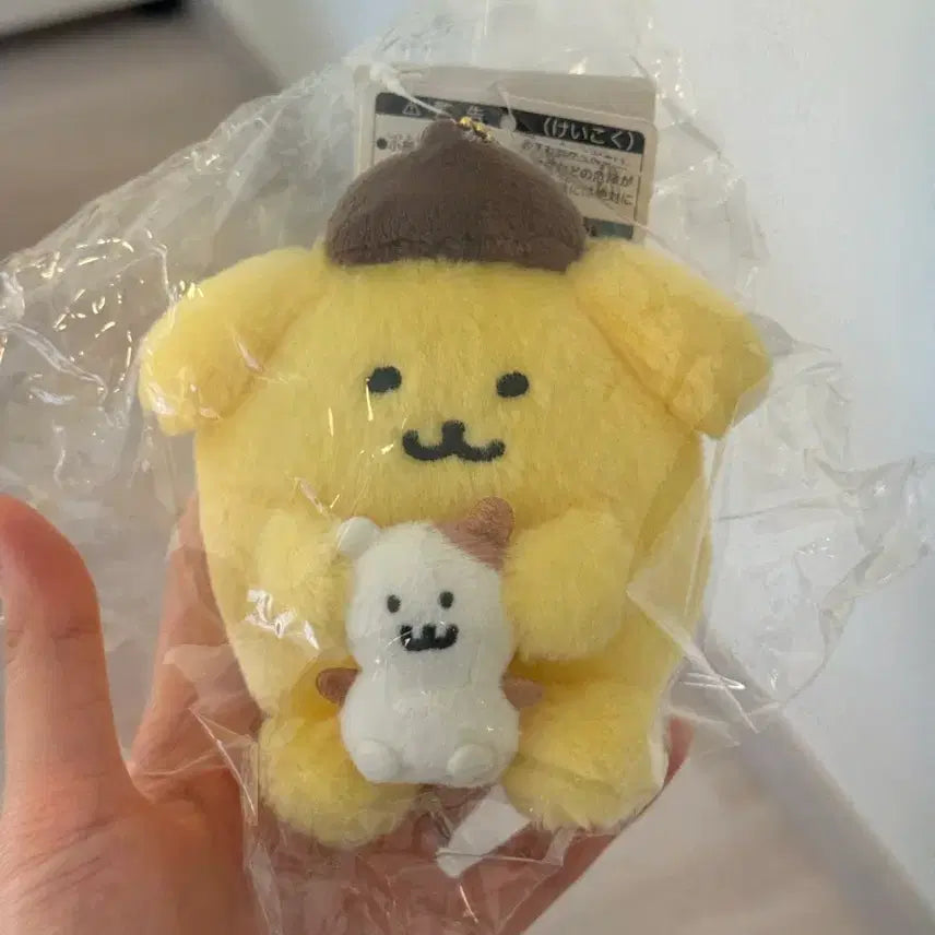 [BUNJANG] Nagano Pompompurin Nodame Kuma Collaboration Keyring / (마지막 가격내림/택ㅇ) 나가노 폼폼푸린 농담곰 콜라보 키링