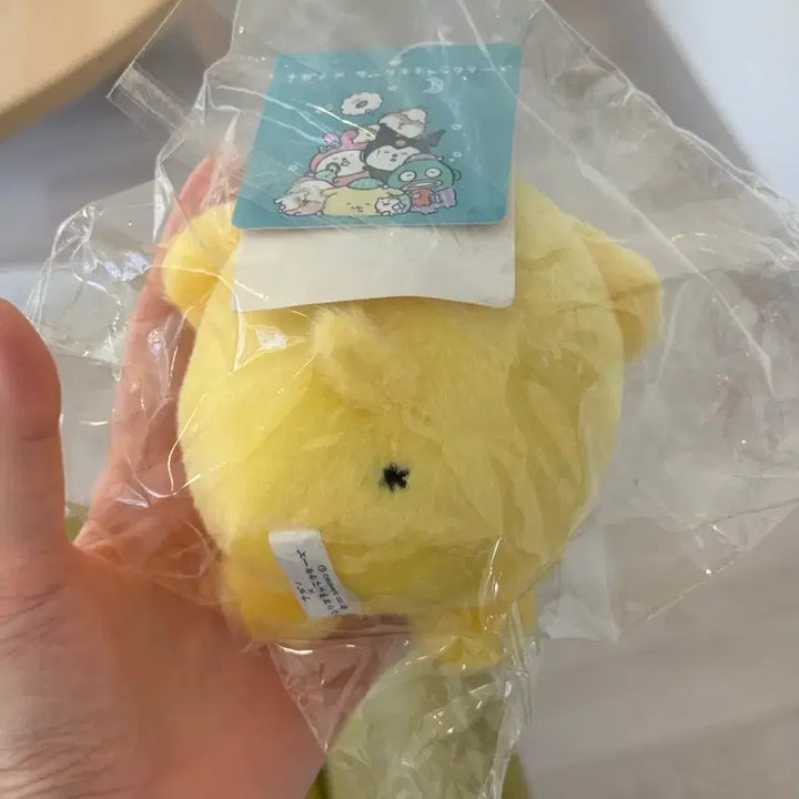 [BUNJANG] Nagano Pompompurin Nodame Kuma Collaboration Keyring / (마지막 가격내림/택ㅇ) 나가노 폼폼푸린 농담곰 콜라보 키링