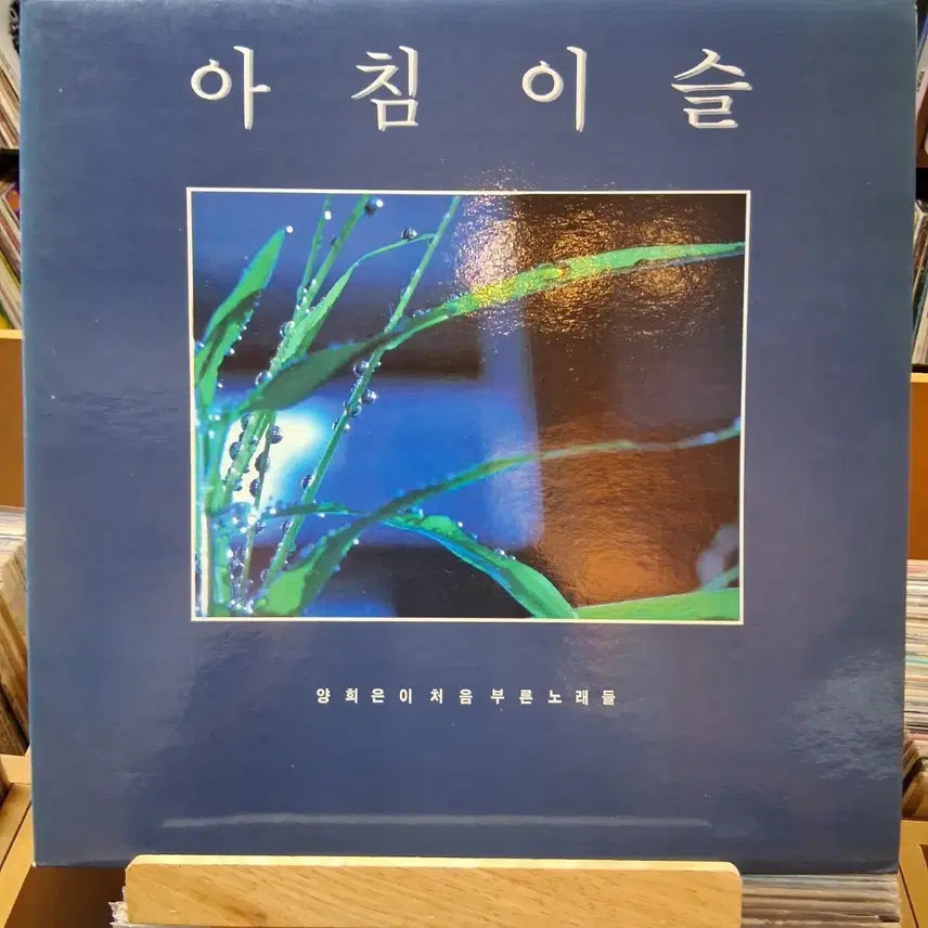 [BUNJANG] Yang Hee Eun "Morning Dew" Double LP (Mint Condition) / 늙은 군인의 노래 수록 민트급 양희은 아침이슬  더블 LP