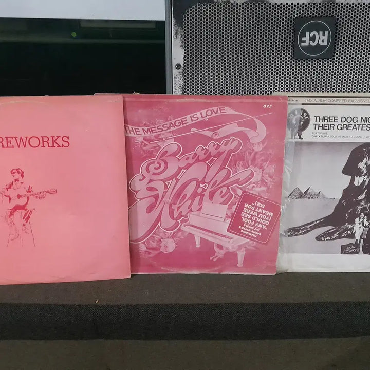 [BUNJANG] 10 LP Vinyl Record Set / 빽판 10 LP