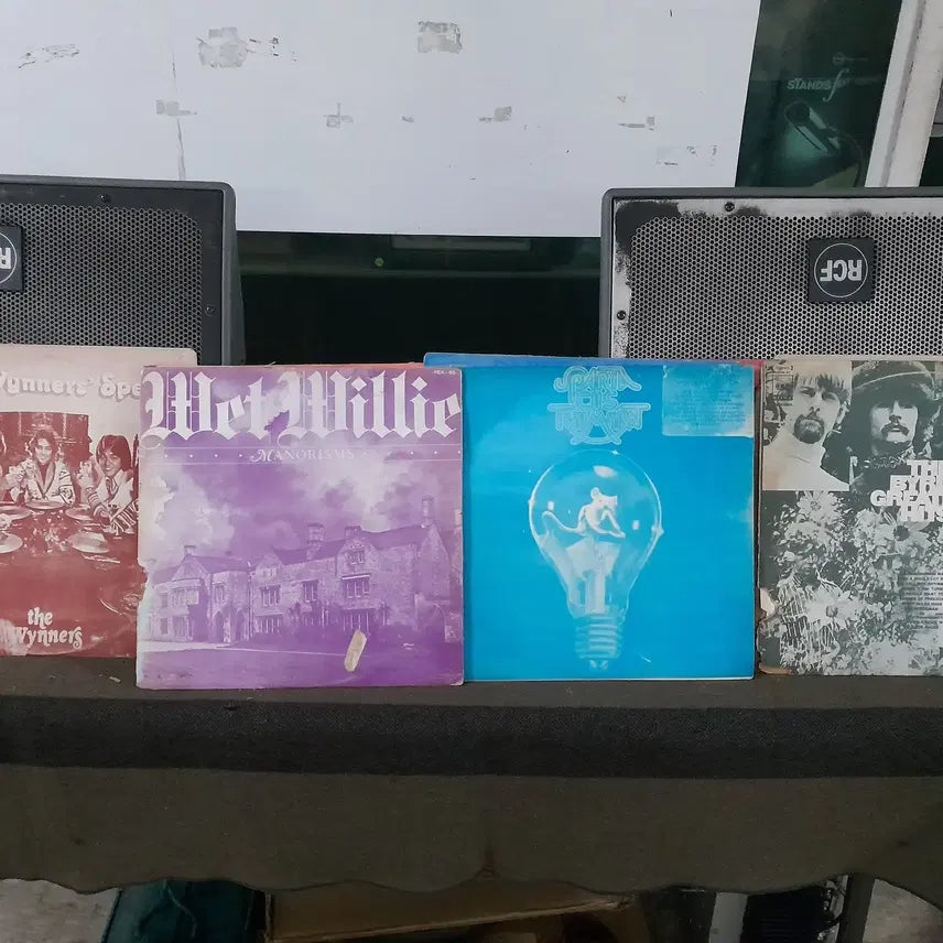 [BUNJANG] 10 LP Vinyl Record Set / 빽판 10 LP