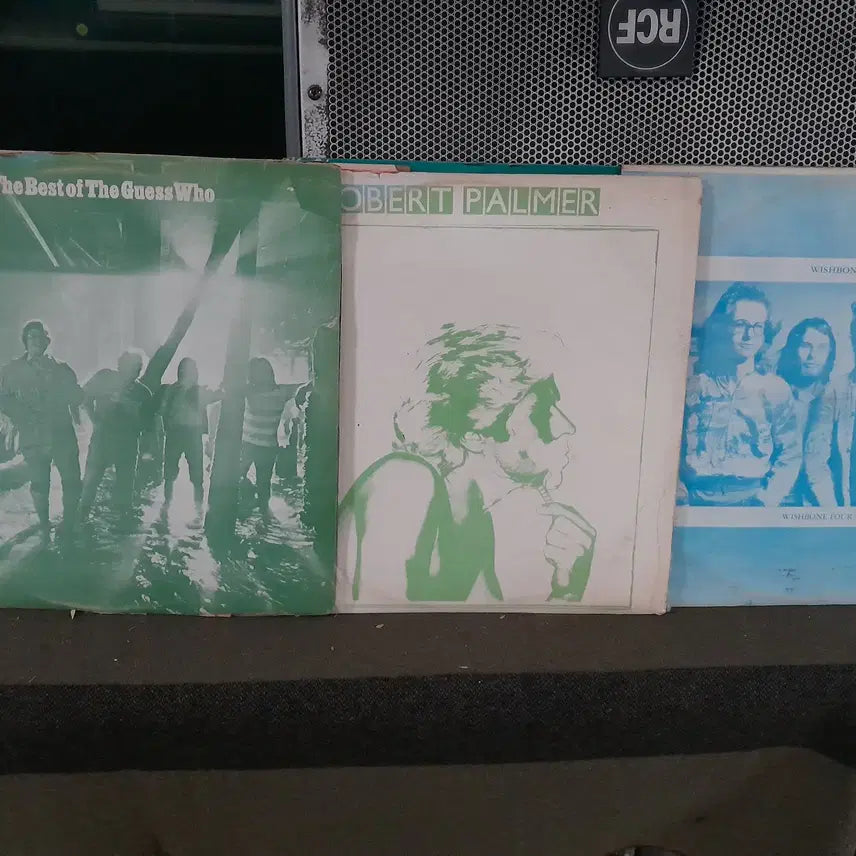 [BUNJANG] 10 LP Vinyl Record / 빽판 10LP