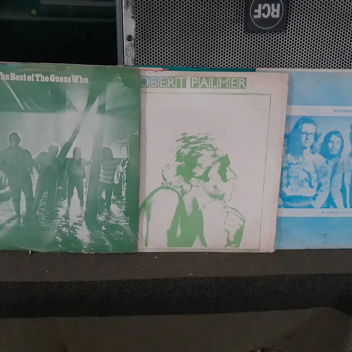 [BUNJANG] 10 LP Vinyl Record / 빽판 10LP