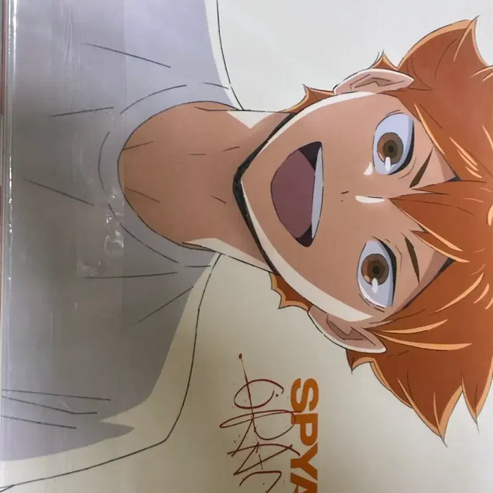 [BUNJANG] SPYAIR Orange CD / 하이큐 SPYAIR 오렌지 orange CD