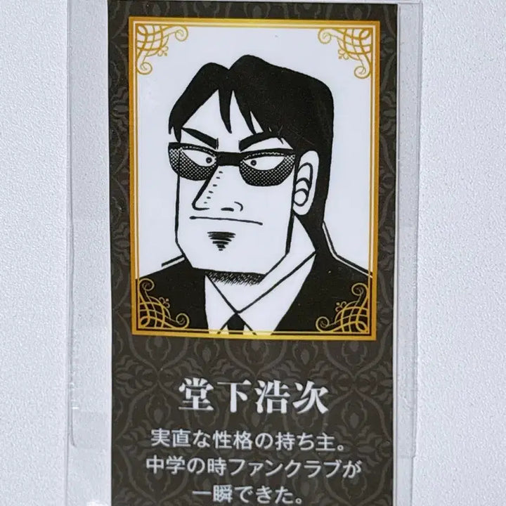 [BUNJANG] Kaiji Limited Edition Curry - Tonesgawa Random Seal / (토네가와) 도시타 씰