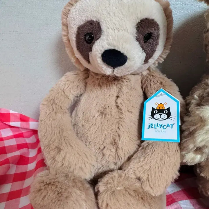 [BUNJANG] Jellycat Bashful Sloth Medium / jellycat 젤리캣 바쉬풀 슬로스 (나무늘보)