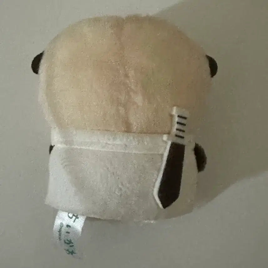 [BUNJANG] Chiikawa Racco Sitting Plush / 치이카와 앉은 누이 인형 랏코 (오늘만 가격내림)
