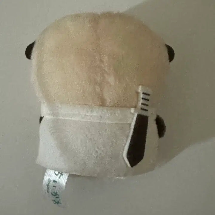 [BUNJANG] Chiikawa Racco Sitting Plush / 치이카와 앉은 누이 인형 랏코 (오늘만 가격내림)