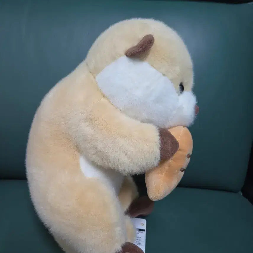 [BUNJANG] Otter Plush Toy with Fish Accessory / 수달인형 판매합니다