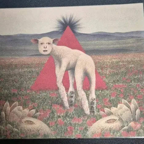 [BUNJANG] Soappol Animal Limited Edition CD / 쏜애플 동물 한정반 cd