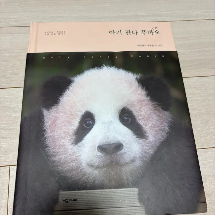 [BUNJANG] Bao Family Fu Bao, Rui, Hui Book Bundle Set / 푸바오 바오패밀리 루이후이 책 일괄