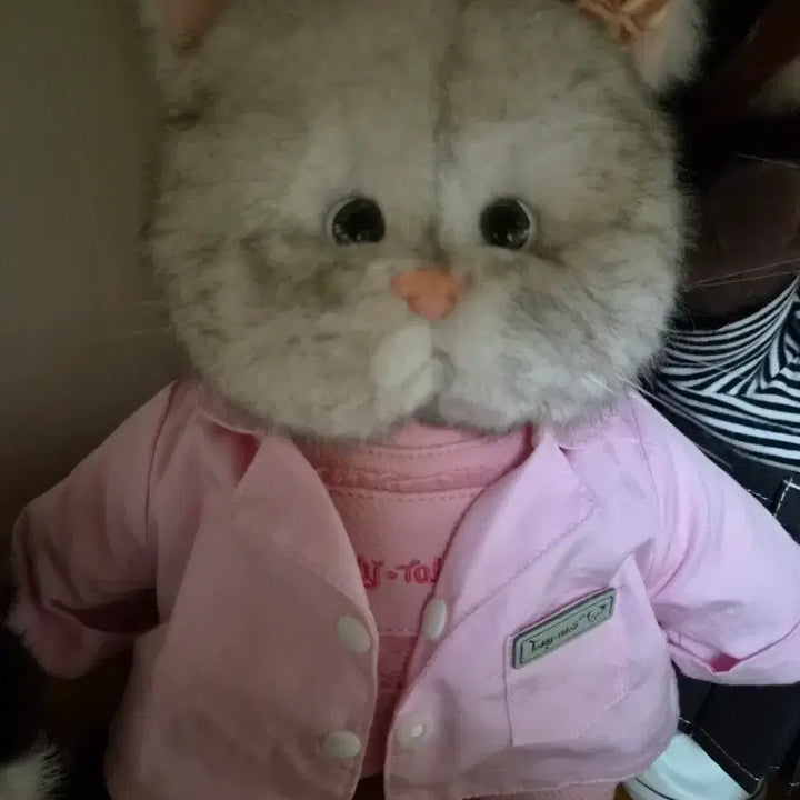 [BUNJANG] Teddy Tails Rena Cat Spacesuit Outfit M / 테디테일즈 레나캣 우주복 M