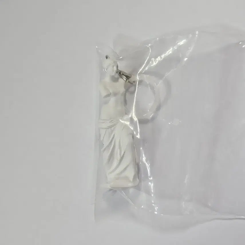 [BUNJANG] Venus Plaster Bust Statue / 석고상 조각상 석고데생 메지루시 비너스