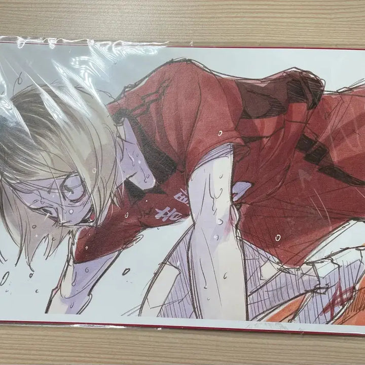 [BUNJANG] Haikyu!! The Dumpster Battle Kenma Visual Board / 하이큐 극장판 쓰결전 켄마 비주얼보드