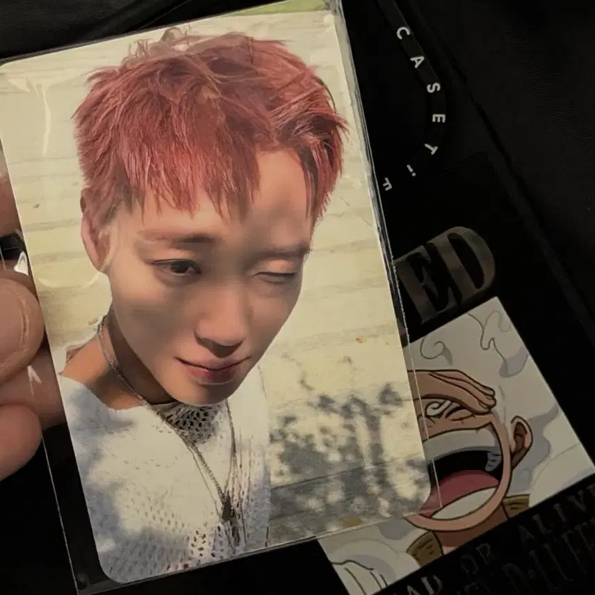 [BUNJANG] Park Jihoon Reflect Pop-up POB Photocard / 박지훈 reflect 팝업 미공포 포카