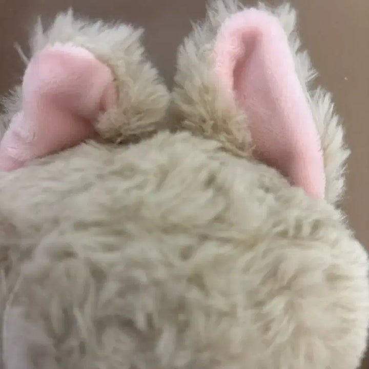[BUNJANG] Dangerous Convenience Store Unofficial 20cm Doll / 위험한 편의점/비공식 인형 20cm