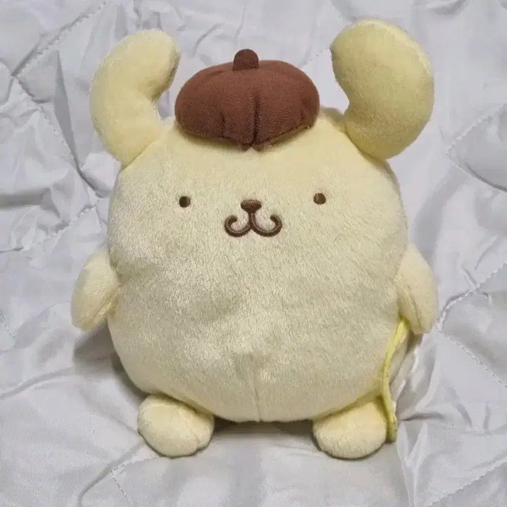 [BUNJANG] Pompompurin Japanese Medium Plush / 폼폼푸린 일본인형 중형 (택 달려있어요)