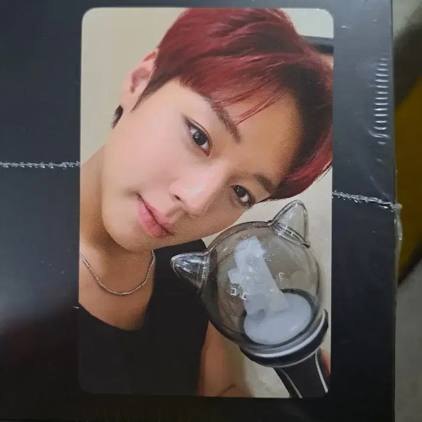 [BUNJANG] Park Ji Hoon Photocard Ver. 2 / 박지훈 포토카드 포카 새 응원봉 뽑봉  ver2