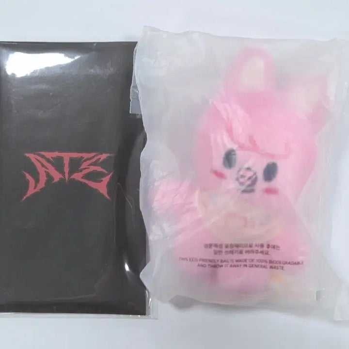 [BUNJANG] Stray Kids Changbin ATE Foldable Ticket Set / SKZ 스키즈 스키주 10cm 돼끼 창빈 ATE 접이식 티켓 세트