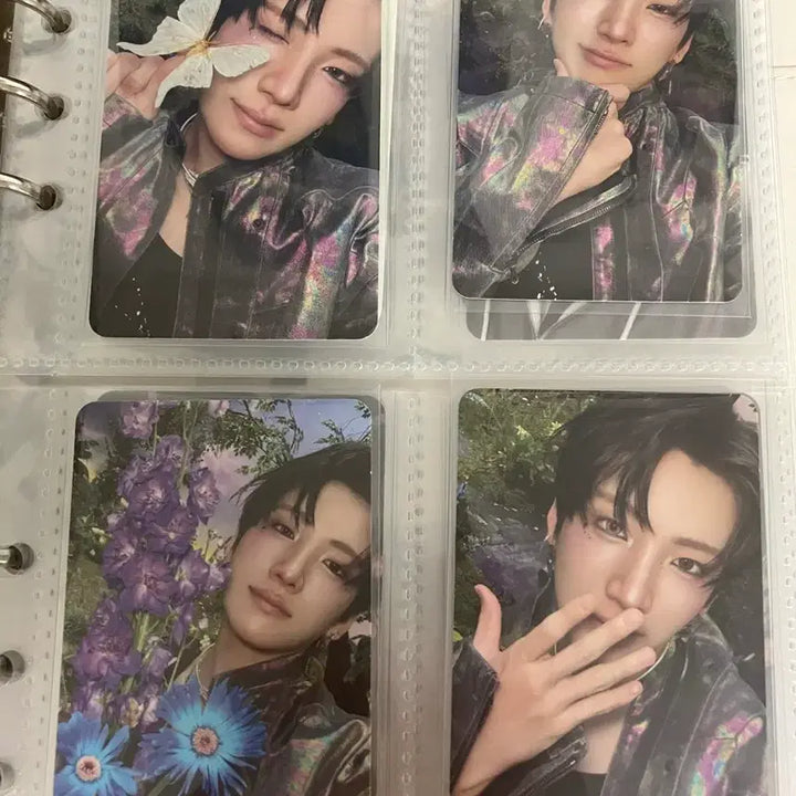 [BUNJANG] &amp;TEAM Yuma Back to the Future Album Photocard Bundle Set / 앤팀 유마 백투라 앨범 포카 솔로 유닛 일괄 판매