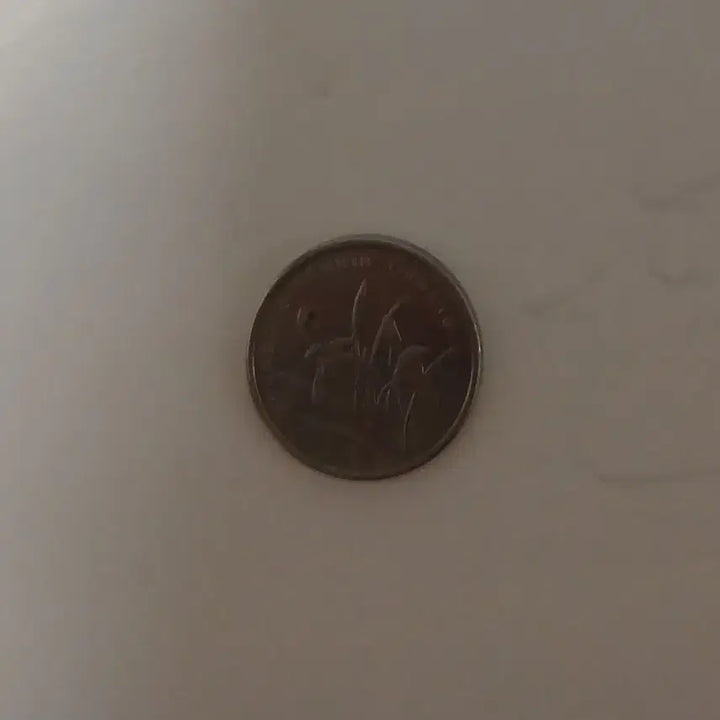[BUNJANG] China 1 Jiao Coin 2007 / 중국 1자오 2007