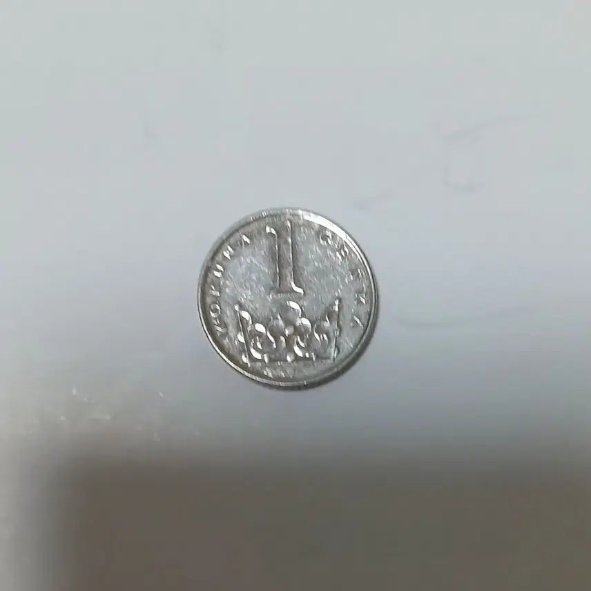 [BUNJANG] Czech Republic 1 Koruna Coin (2009) / 체코 1코루나 2009