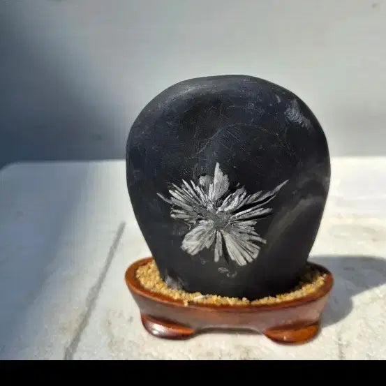 [BUNJANG] Chrysanthemum Stone Paperweight / 종이컵 사이즈비교국화수석 오석돌