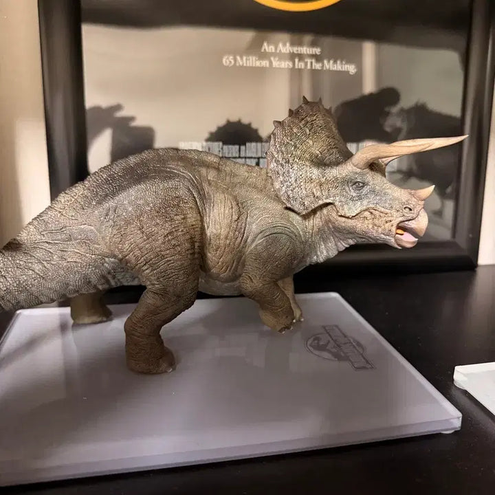 [BUNJANG] Dino Dream Triceratops Figure / 다이노드림 트리케라톱스 피규어 만롱당 본심남개