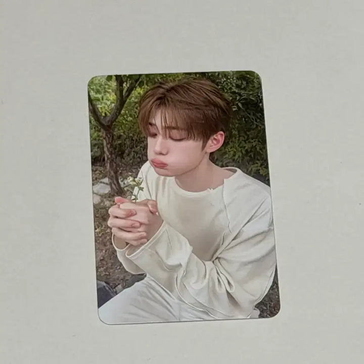 [BUNJANG] Xdinary Heroes Jeonghyeon Hidden Photocard / 상현 아기 포카 히든 포토카드 정상현 미공포 특전 알디원