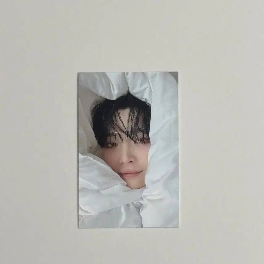[BUNJANG] Nicholas Hood Photocard / 팝업 후드 니콜라스 이불 포카