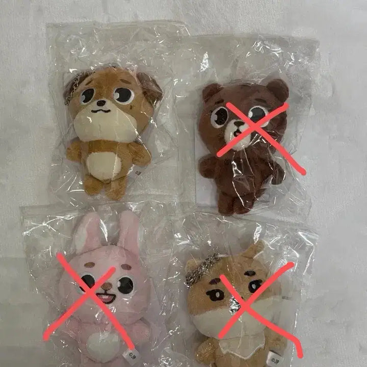 [BUNJANG] Day6 Forever Young Japan MD Bag Charm / [데이식스] 데이식스 포에버영 일본MD 백참