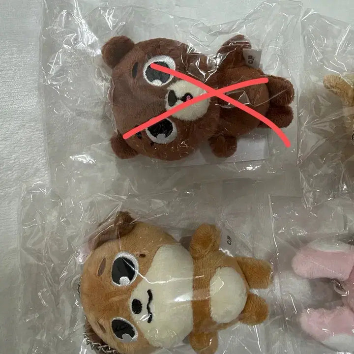 [BUNJANG] Day6 Forever Young Japan MD Bag Charm / [데이식스] 데이식스 포에버영 일본MD 백참