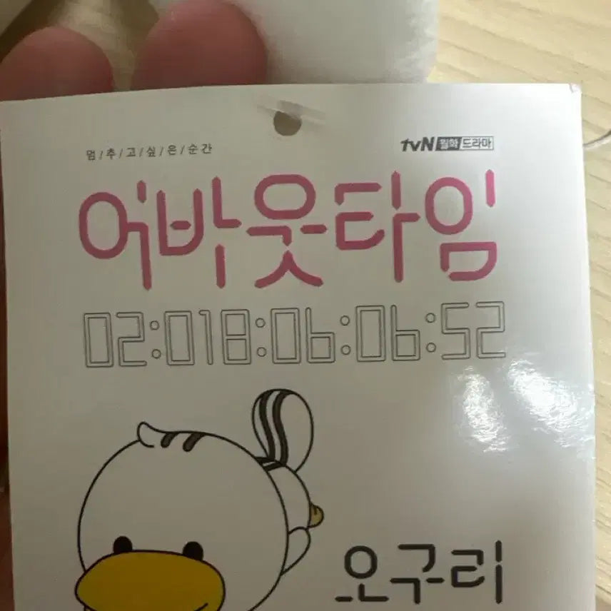 [BUNJANG] Duck Raccoon Plush / 오리 너구리 인형