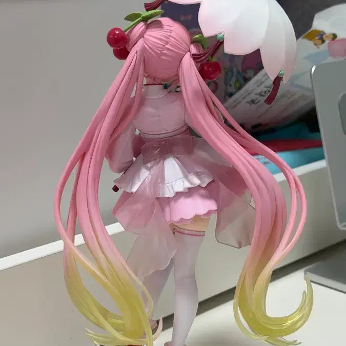 [BUNJANG] Sakura Miku Taito AMP Figure / 사쿠라미쿠 타이토 amp 피규어