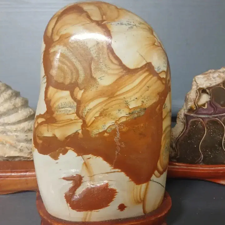 [BUNJANG] Ammonite Fossil and Scholar Stone Set Bundle / 화석 암모나이트 . 수석 세트 일괄