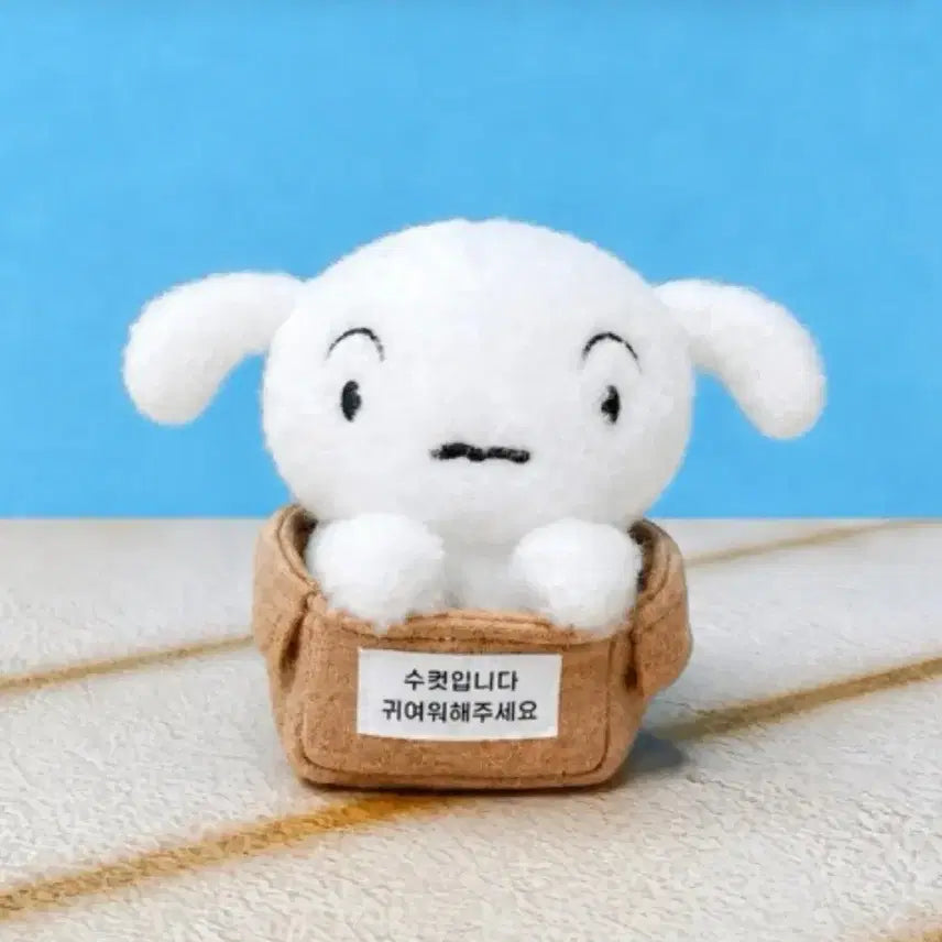 [BUNJANG] Shiro (White Dog) First Encounter Plush Doll / 흰둥이 첫만남 인형