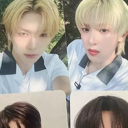 [BUNJANG] BAE173 Gongban Photocard / 베이온 포카 공반포카