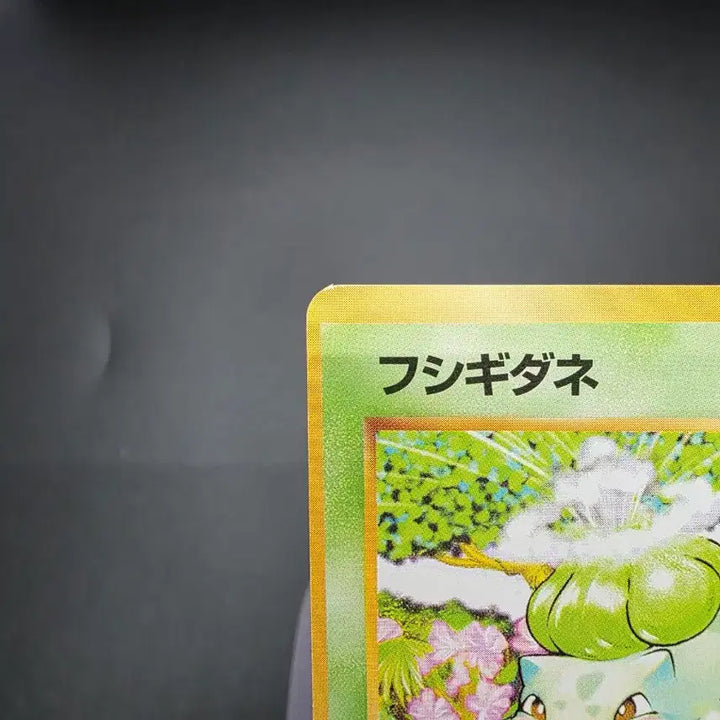 [BUNJANG] 1996 Japan First Edition Bulbasaur Pokémon Card / 1996년 일본 초판 이상해씨