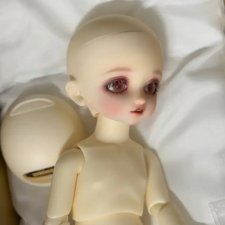 [BUNJANG] Volks Bluebird Full Set Doll / 보크스 파랑새 풀셋