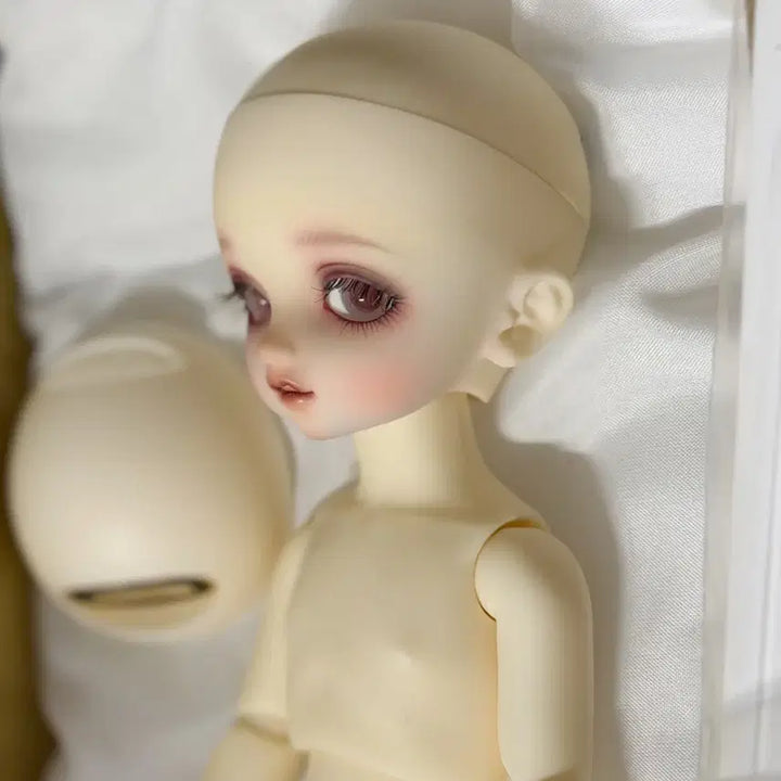 [BUNJANG] Volks Bluebird Full Set Doll / 보크스 파랑새 풀셋
