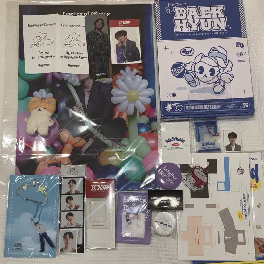 [BUNJANG] Baekhyun Official Goods Bundle Set / 백현 터래기 및 공식 굿즈 일괄 양도