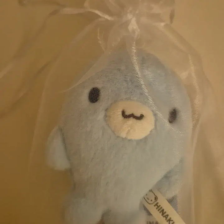[BUNJANG] Hinakuu Seal Plush Keychain / 히나쿠우 물범 인형 키링 물개 쿠숭이