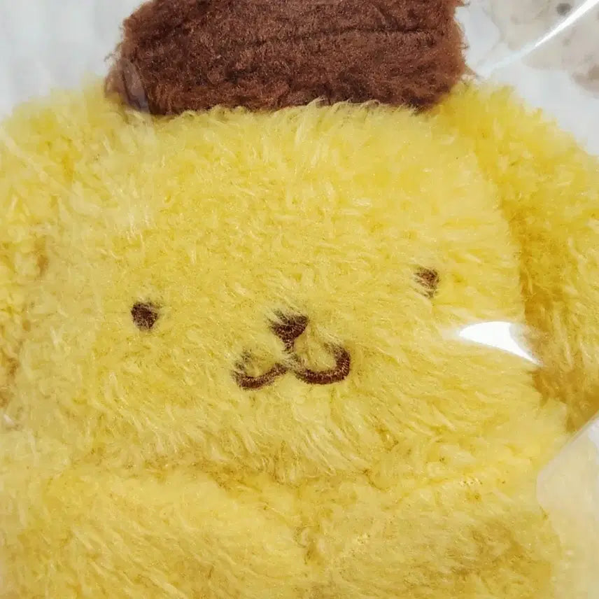 [BUNJANG] Sanrio Pompompurin Hugging Pocket Mascot Keychain / 할인! 산리오 끌어안는 주머니 폼폼푸린 마스코트 키링 팝니다.