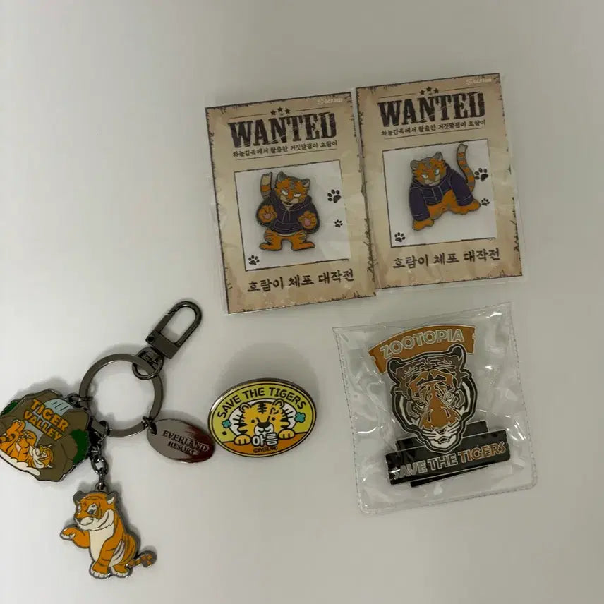 [BUNJANG] Everland Discontinued Badge &amp; Keyring Bundle Set / 에버랜드 단종 뱃지 키링 일괄판매