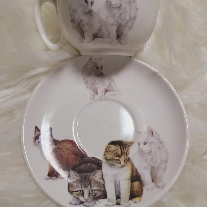 [BUNJANG] Cat Illustration Cup and Saucer Set - Imported / 고양이 그림 컵앤소서 세트 수입