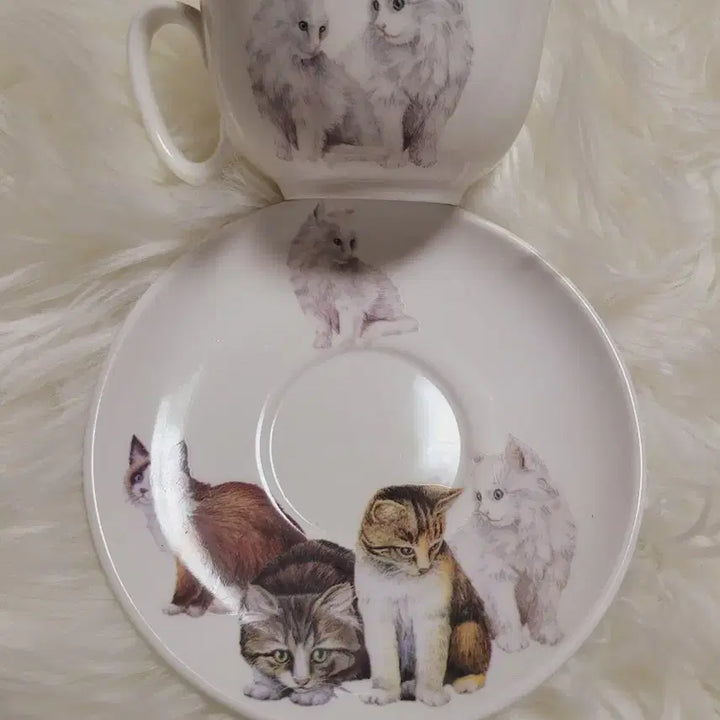 [BUNJANG] Cat Illustration Cup and Saucer Set - Imported / 고양이 그림 컵앤소서 세트 수입