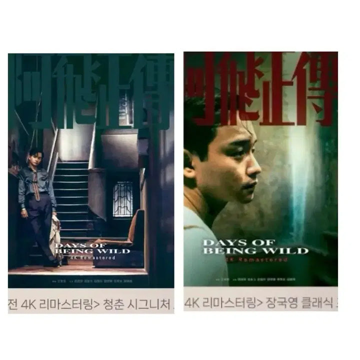 [BUNJANG] Ashes of Time Classic Poster / Original Ticket Set / [아비정전] 청춘 시그니처/장국영 클래식 포스터/오리지널티켓